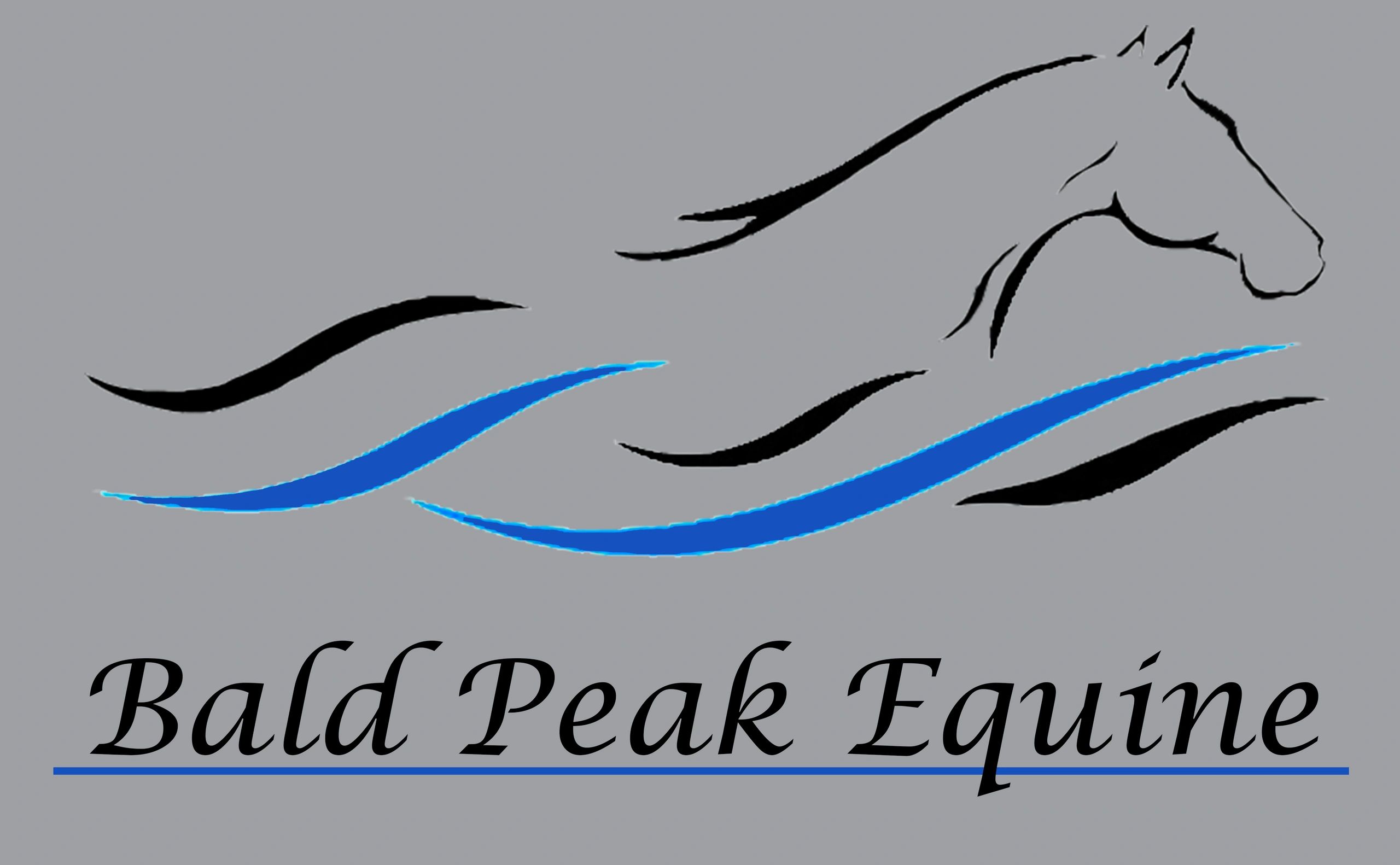 Bald Peak Equine